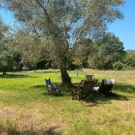 Lefkadas Bohemian